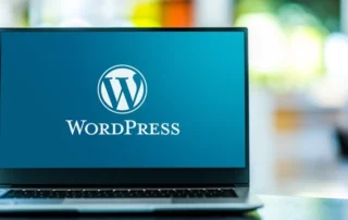 What is The Future of WordPress in 2024